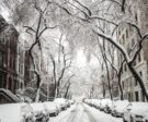 snow-covered-street-and-homes-pixaby-1030928_1280